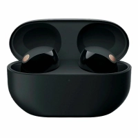 Наушники Sony WF-1000XM5 Black