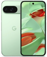 Смартфон Google Pixel 9 12/128GB Wintergreen