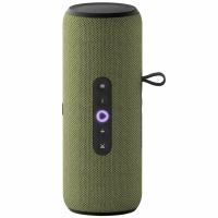 Яндекс Станция Стрит с Алисой (Зеленый)