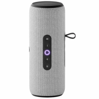 Яндекс Станция Стрит с Алисой (Серый)