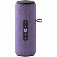 Яндекс Станция Стрит с Алисой (Фиолетовый)