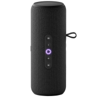 Яндекс Станция Стрит с Алисой (Черный)