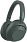 Наушники Sony ULT Wear WH-ULT900N - Forest Gray 42_42_175105