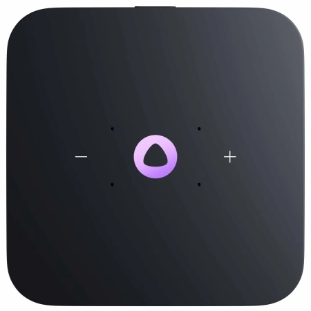 Яндекс Станция Миди с Zigbee (черный)