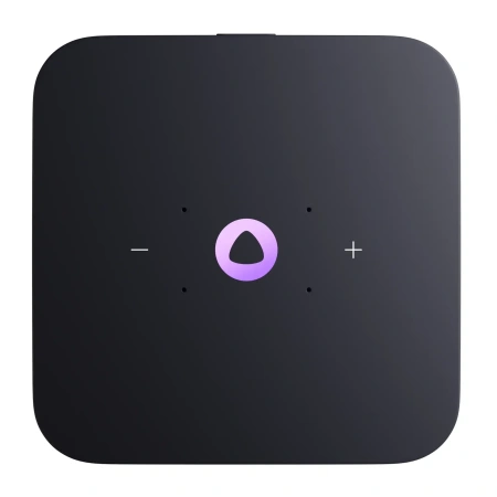 Яндекс Станция Миди с Zigbee (малиновый)
