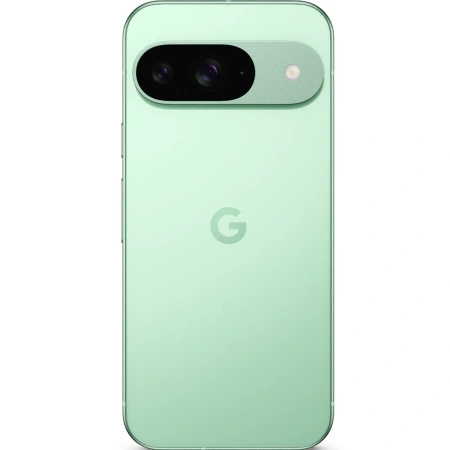 Смартфон Google Pixel 9 12/128GB Wintergreen